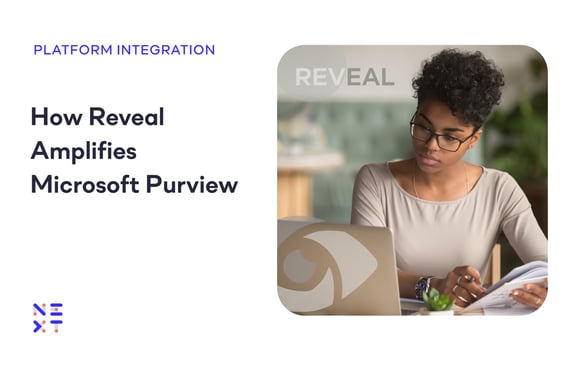 How to Improve Microsoft Purview Data Governance with Reveal